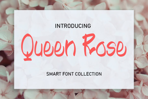 Queen Rose: A Script Font for Impactful Campaigns